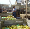 Salamanca Market Hobart